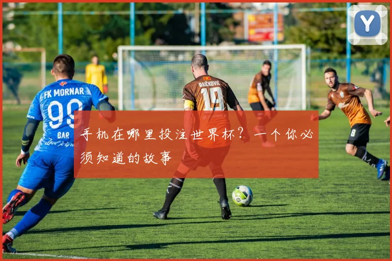 手机在哪里投注世界杯？一个你必须知道的故事