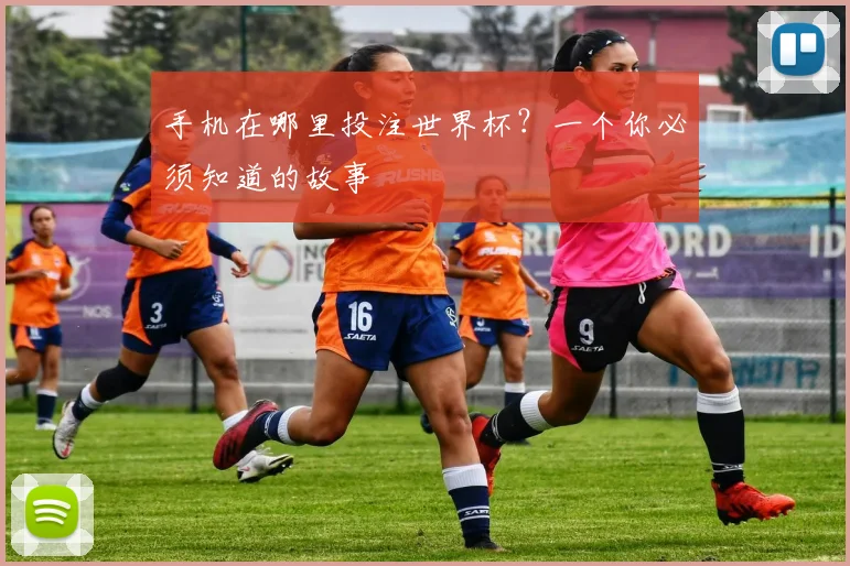 手机在哪里投注世界杯？一个你必须知道的故事