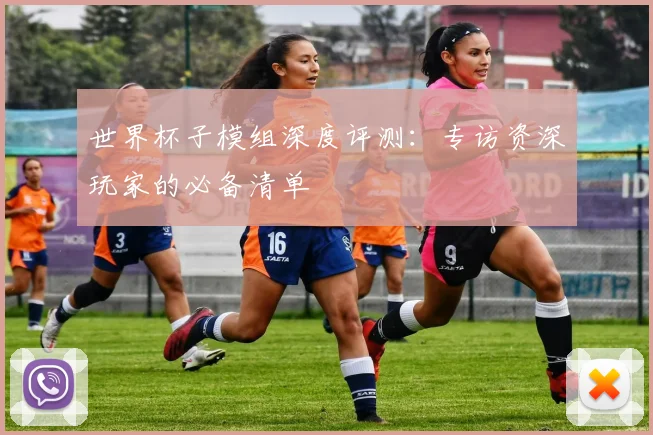 世界杯子模组深度评测:专访资深玩家的必备清单