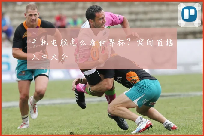 手机电脑怎么看世界杯？实时直播入口大全